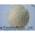 Dehydrated Garlic Flakes with High Quality